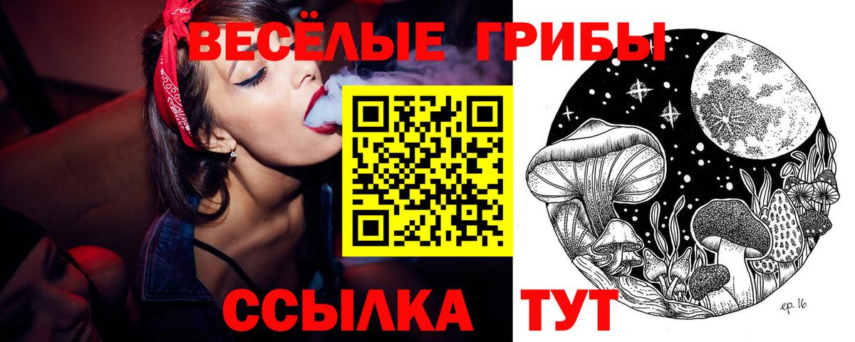 Галлюциногенные грибы Psilocybine cubensis Ижевск