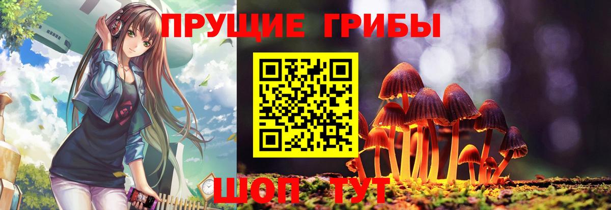 Галлюциногенные грибы Magic Shrooms  Вход с VPN  Ижевск  Галлюциногенные грибы прущие грибы 